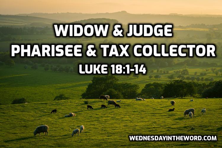 Parables of Widow & Judge; Pharisee & Tax Collector - Bible Study | WednesdayintheWord.com