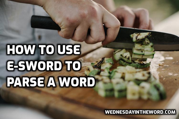 How to use e-sword to parse a word