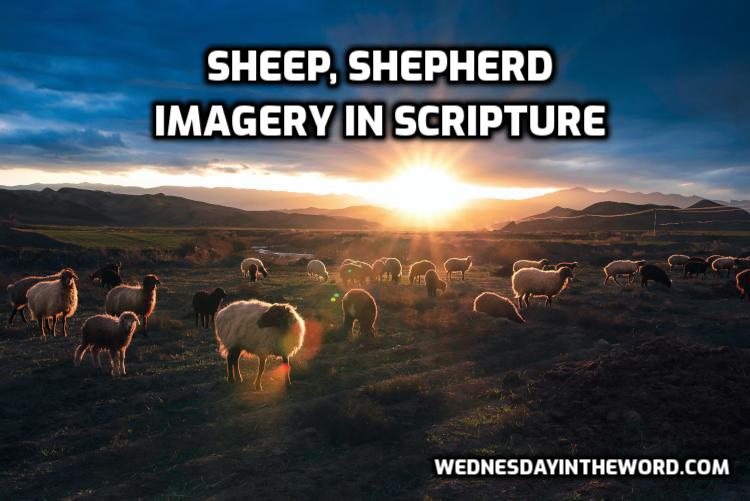Sheep & Shepherd Imagery in Scripture - Bible Study Tools | WednesdayintheWord.com
