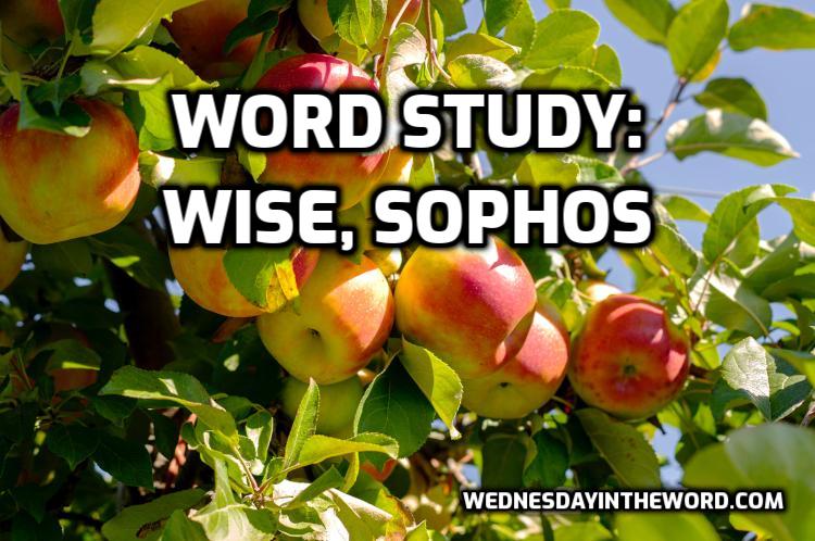 Word Study: wise, sophos - Bible Study Tools | WednesdayintheWord.com