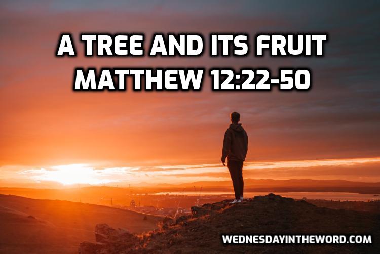 65 Matthew 12:22-50 A Tree and its fruit - Bible Study | WednesdayintheWord.com