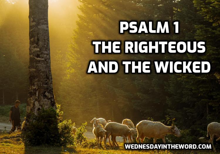 Psalm 1 The righteous and the wicked - Bible Study | WednesdayintheWord.com