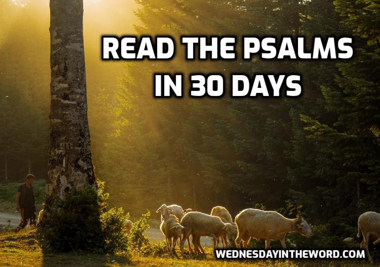 Read the Psalms in 30 days