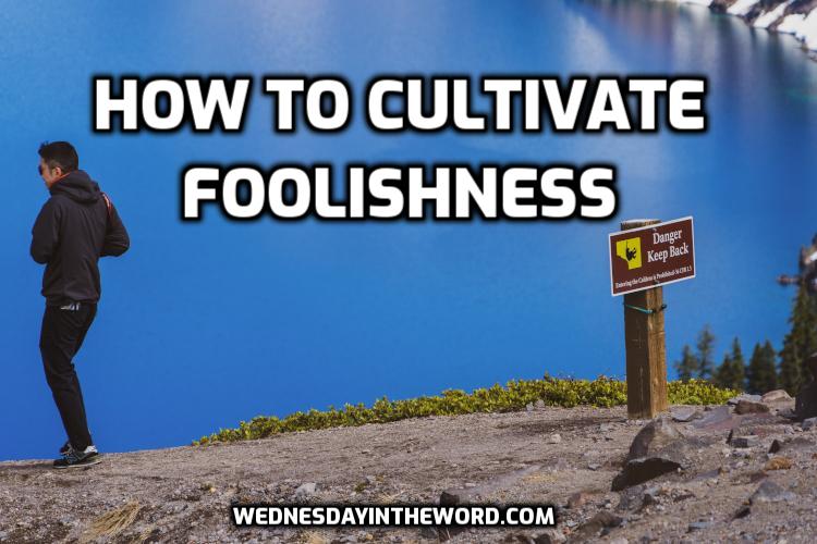 How to cultivate foolishness - Bible Study | WednesdayintheWord.com