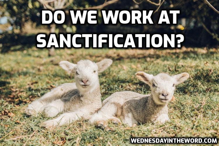 Do we work at sanctification? A lesson in discernment