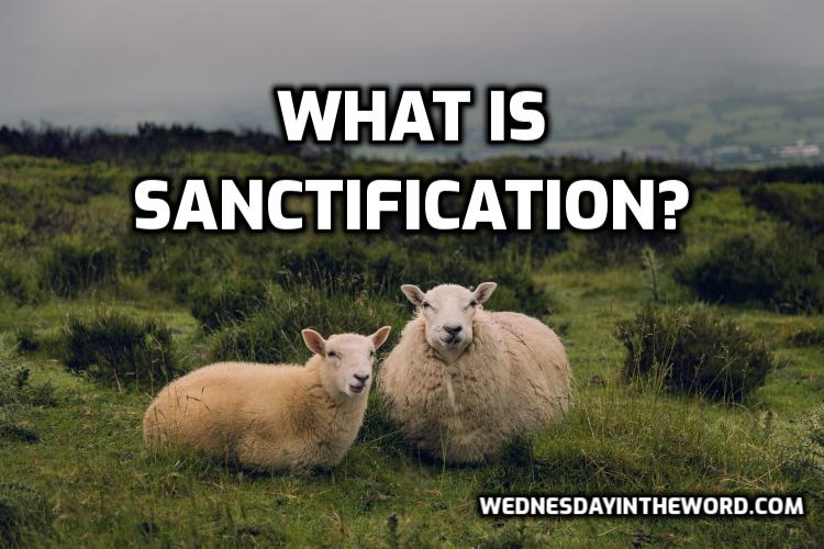 What is sanctification? - Bible Study | WednesdayintheWord.com