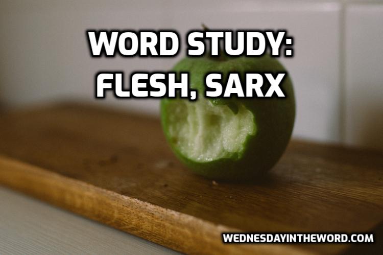 Word Study: flesh, sarx - Bible Study Tools | WednesdayintheWord.com