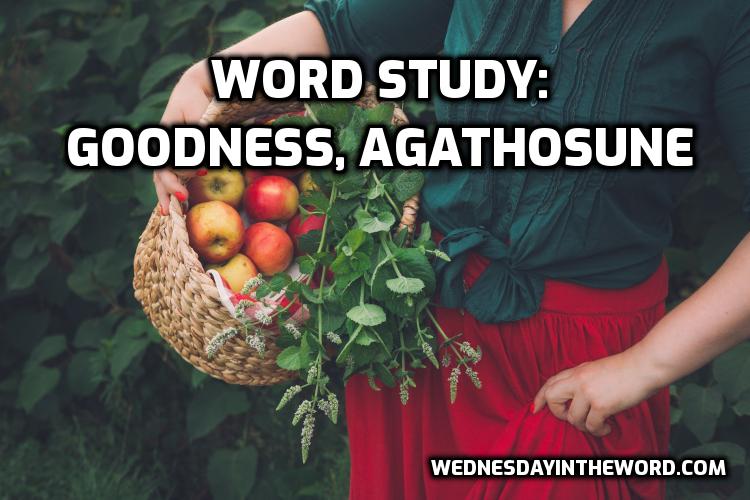 Word Study: goodness, agathósuné, G19 - Bible Study Tools | WednesdayintheWord.com