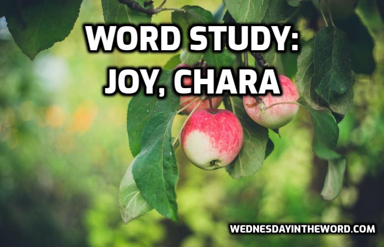 Word Study: joy, chara G5479 - Bible Study Tools | WednesdayintheWord.com