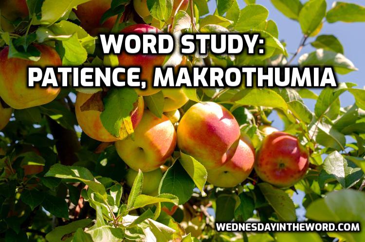 Word Study patience, makrothumia, G3115 - Bible Study Tools | WednesdayintheWord.com