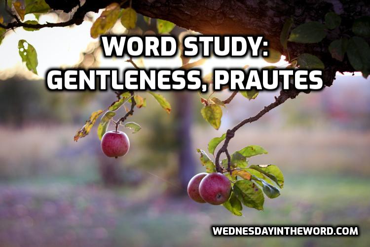 Word Study gentleness, prautés, G4240 - Bible Study Tools | WednesdayintheWord.com