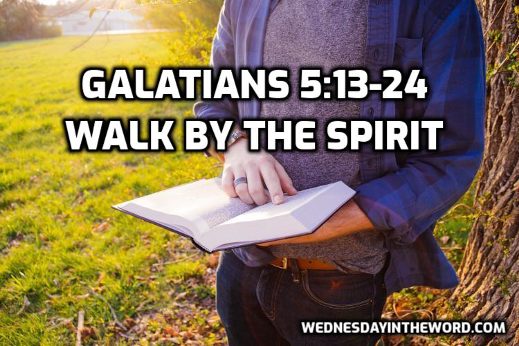 13 Galatians 5:13-25 Walk by the Spirit - Bible Study | WednesdayintheWord.com