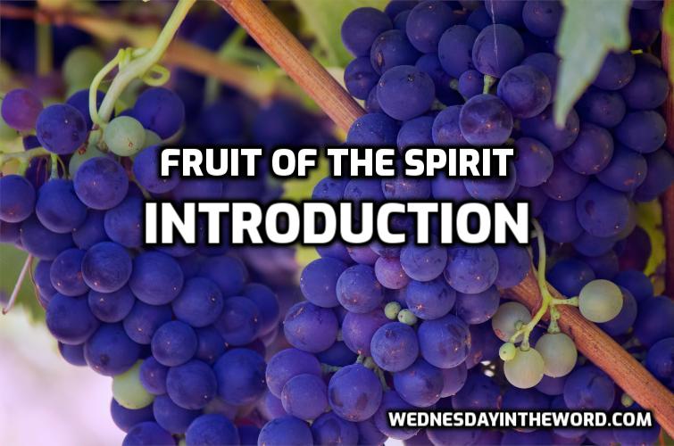 01 Fruit of the Spirit: Introduction - Bible Study | WednesdayintheWord.com