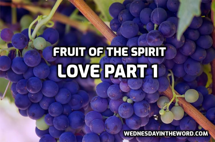 02 Fruit of the Spirit: Love Part 1 - Bible Study | WednesdayintheWord.com