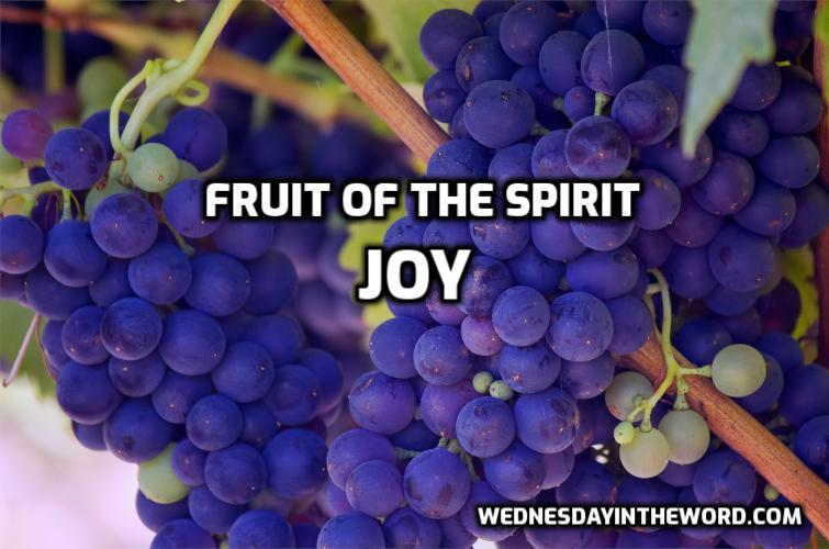 04 Fruit of the Spirit: Joy - Bible Study | WednesdayintheWord.com