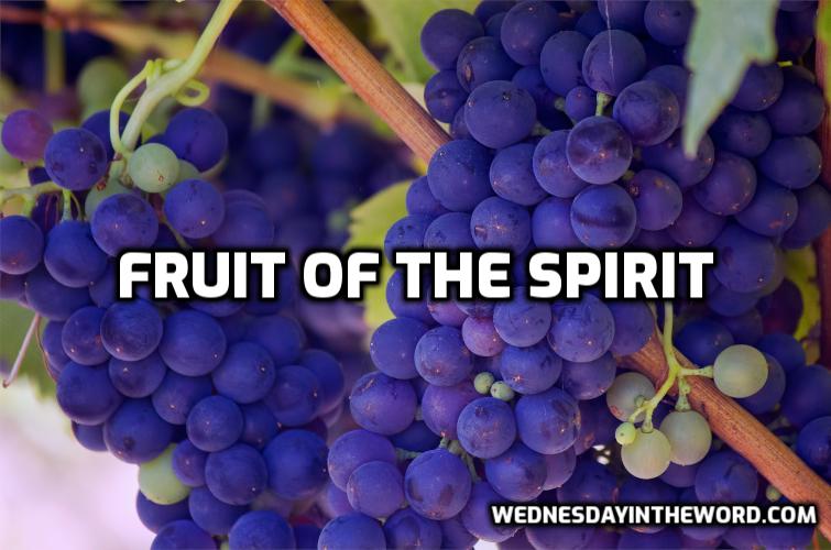 Fruit of the Spirit Bible Study from WednesdayintheWord.com