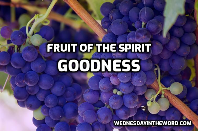08 Fruit of the Spirit: Goodness - Bible Study | WednesdayintheWord.com