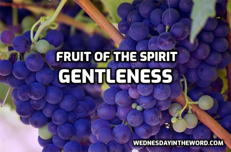 10 Fruit of the Spirit: Gentleness - Bible Study | WednesdayintheWord.com